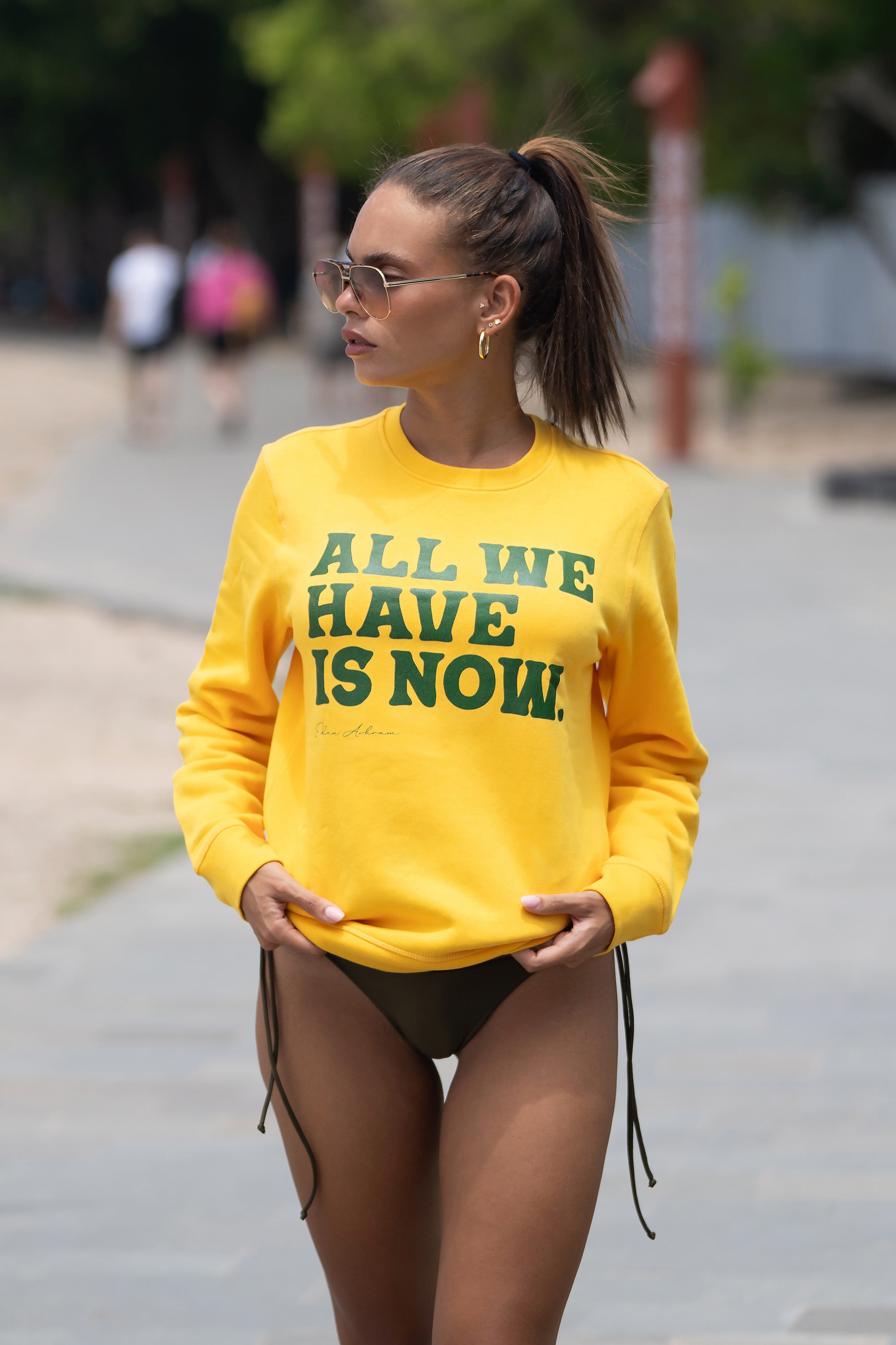 Eden Ashram All We Have Is Now Premium Crew Neck Sweatshirt